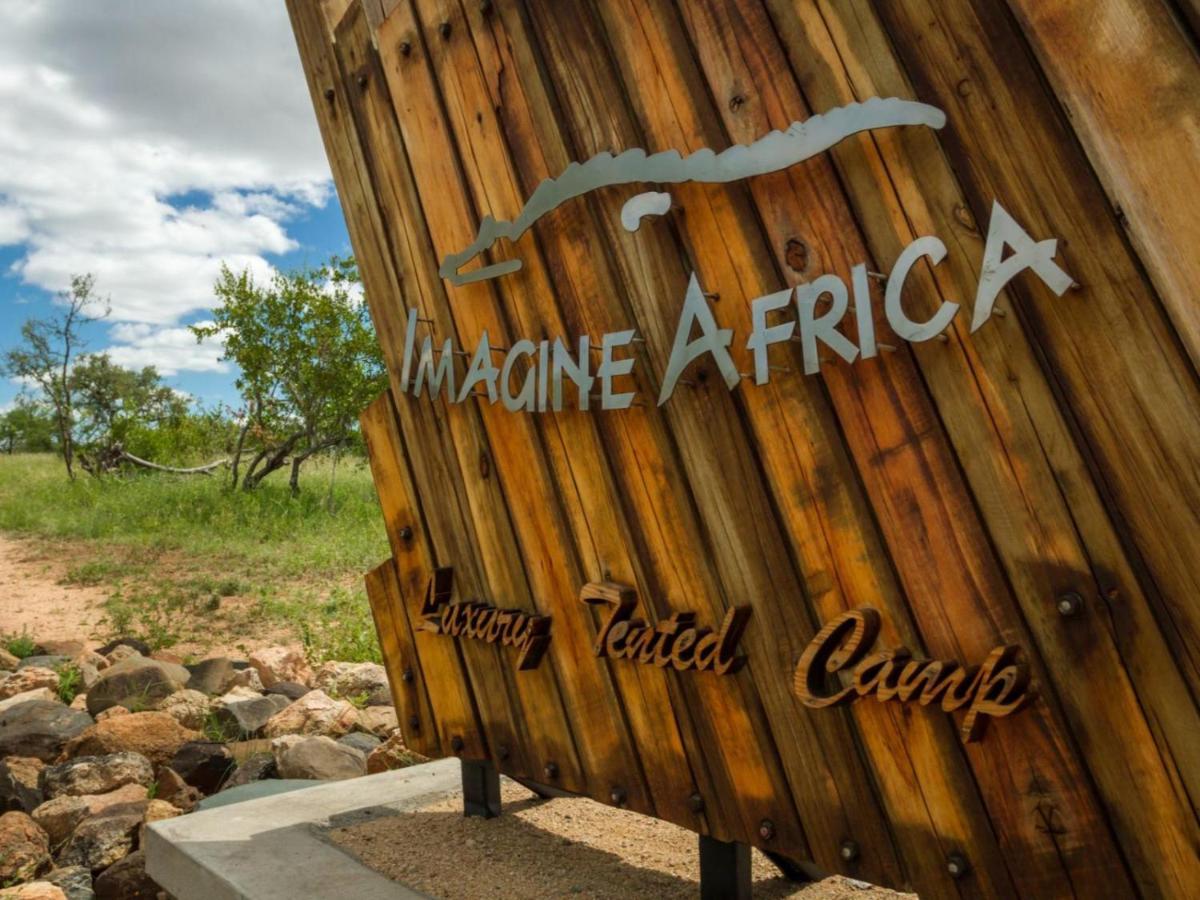 Imagine Africa Luxury Tented Camp Balule Game Reserve Bagian luar foto