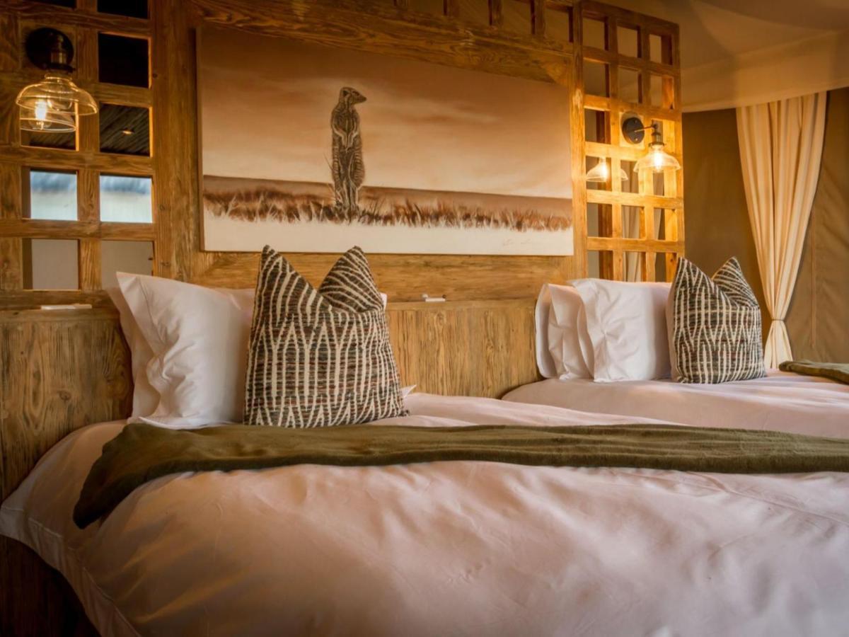 Imagine Africa Luxury Tented Camp Balule Game Reserve Bagian luar foto
