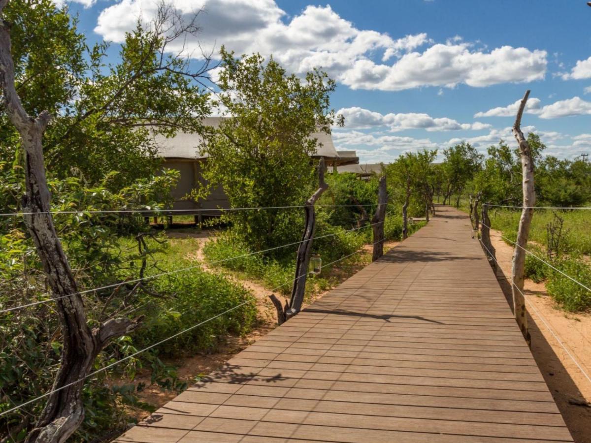Imagine Africa Luxury Tented Camp Balule Game Reserve Bagian luar foto