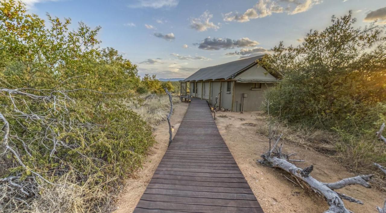 Imagine Africa Luxury Tented Camp Balule Game Reserve Bagian luar foto